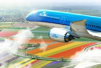 KLM 787 tulips
