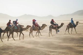 Camels desert woestijn